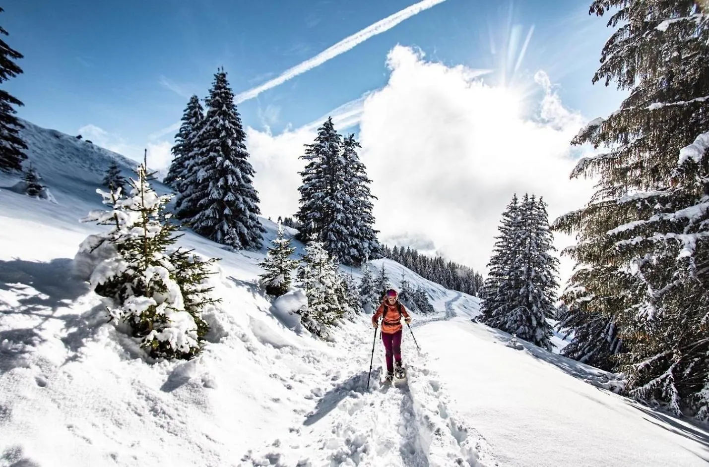 Chalet Madeline Md25 Sun & View 6 Pers Chatel